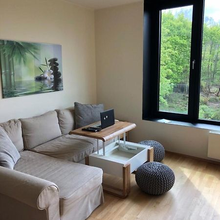 Triplex Residence, Lux-Appartment In The Central Part Karlsbad Exteriör bild